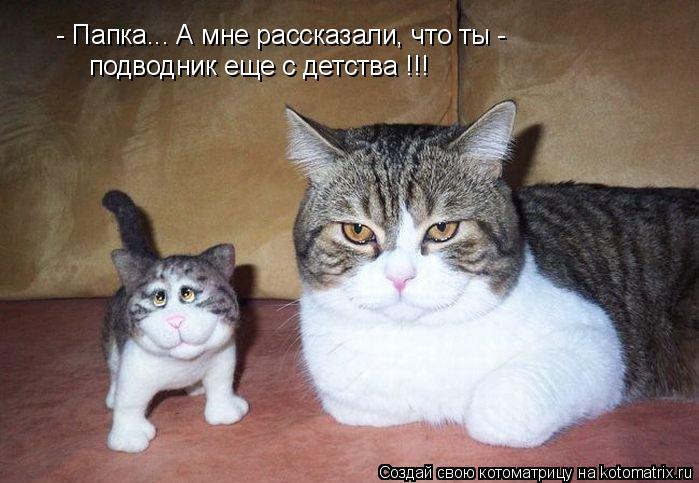 - Папка... А мне рассказали, что ты - подводник еще с детства !!!... Котоматрица: - Папка... А мне рассказали, что ты - подводник еще с детства !!!