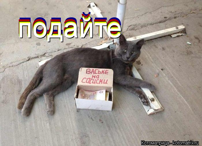 подайте подайте подайте подайте подайте... Котоматрица: подайте подайте подайте подайте подайте