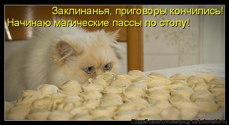 Заклинанья, приговоры кончились! Начинаю магические пассы по столу!... Котоматрица: Заклинанья, приговоры кончились! Начинаю магические пассы по столу!