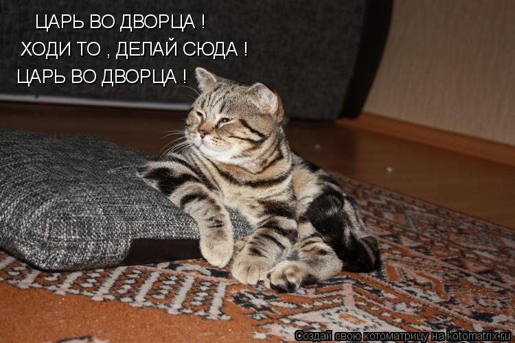 ЦАРЬ ВО ДВОРЦА ! ХОДИ ТО , ДЕЛАЙ СЮДА ! ЦАРЬ ВО ДВОРЦА !... Котоматрица: ЦАРЬ ВО ДВОРЦА ! ХОДИ ТО , ДЕЛАЙ СЮДА ! ЦАРЬ ВО ДВОРЦА !