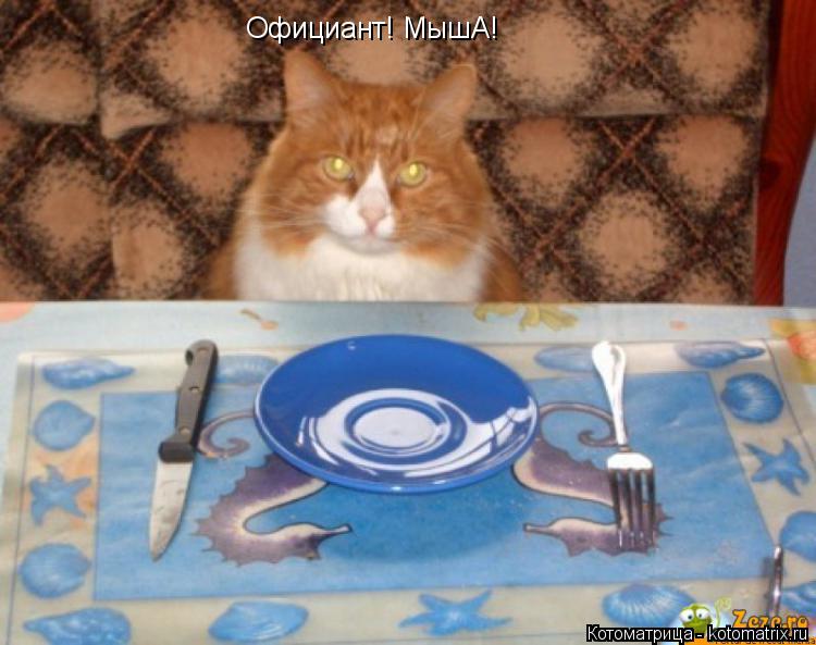 Официант! МышА!... Котоматрица: Официант! МышА!
