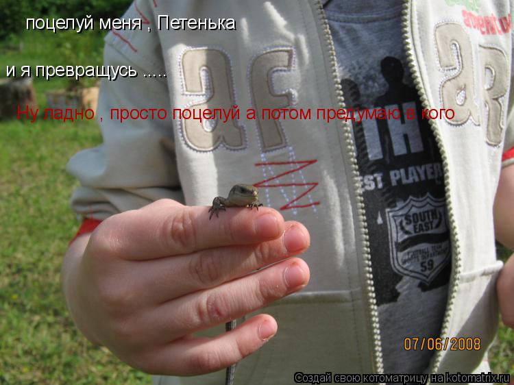 поцелуй меня , Петенька и я превращусь ..... Ну ладно , просто поцелуй а потом предумаю в кого... Котоматрица: поцелуй меня , Петенька и я превращусь ..... Ну ладно , просто поцелуй а потом предумаю в кого