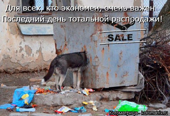 Для всех, кто экономен, очень важен Последний день тотальной распродажи! ________ ________... Котоматрица: Для всех, кто экономен, очень важен Последний день тотальной распродажи! ________ ________