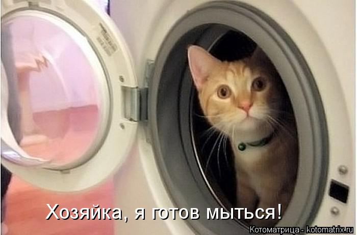 Хозяйка, я готов мыться!... Котоматрица: Хозяйка, я готов мыться!