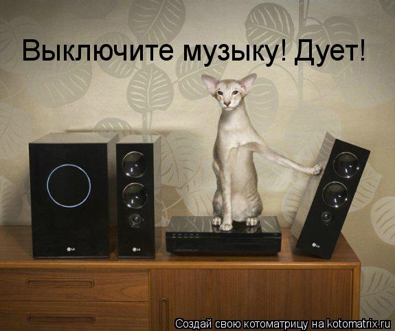 Выключите музыку! Дует!... Котоматрица: Выключите музыку! Дует!