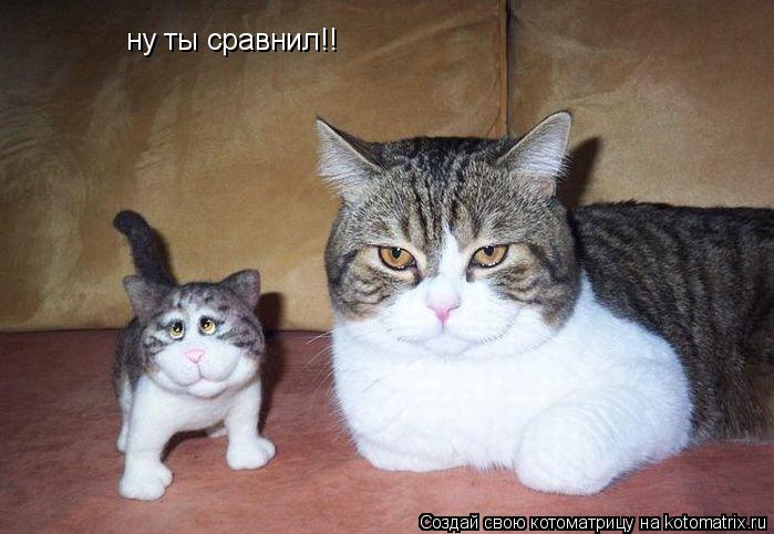 ну ты сравнил!!... Котоматрица: ну ты сравнил!!