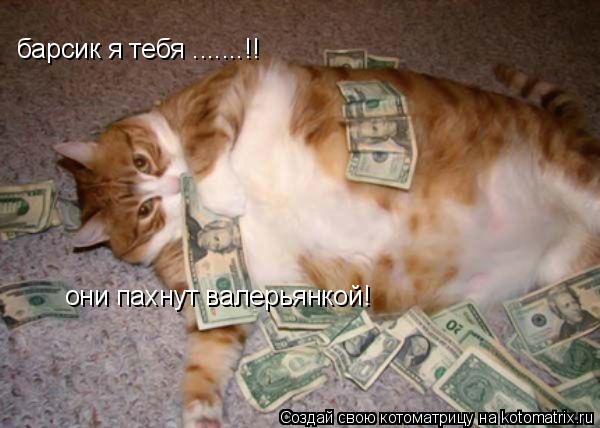 барси барсик я тебя .......!! они пахнут валерьянкой!... Котоматрица: барси барсик я тебя .......!! они пахнут валерьянкой!