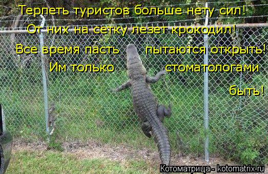 Все время пасть пытаются открыть! быть! Терпеть туристов больше нету сил! От них на сетку... Котоматрица: Все время пасть пытаются открыть! быть! Терпеть туристов больше нету сил! От них на сетку лезет крокодил! Им только стоматолога