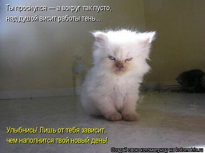 Ты проснулся — а вокруг так пусто, над душой висит работы тень... Улыбнись! Лишь от тебя зависит, чем... Котоматрица: Ты проснулся — а вокруг так пусто, над душой висит работы тень... Улыбнись! Лишь от тебя зависит, чем наполнится твой новый день!