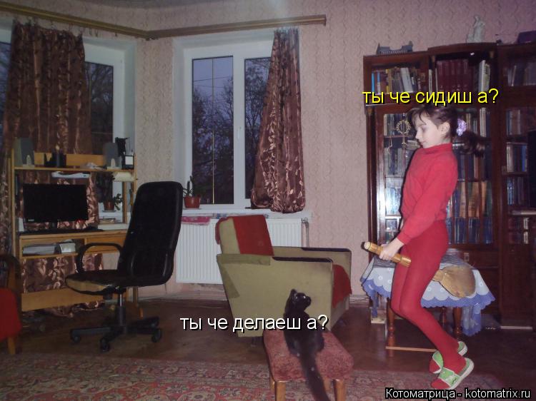 ты че делаеш а? ты че сидиш а?... Котоматрица: ты че делаеш а? ты че сидиш а?