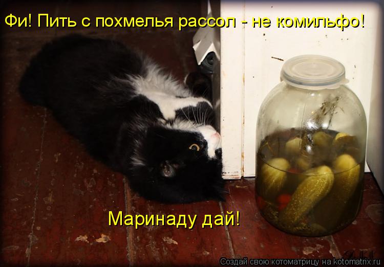 Поздравленья на похмелье Поздравленья на похмелье