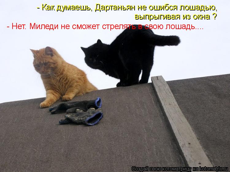 - Как думаешь, Дартаньян не ошибся лошадью, выпрыгивая из окна ? - Нет. Миледи не сможет стрелять в с... Котоматрица: - Как думаешь, Дартаньян не ошибся лошадью, выпрыгивая из окна ? - Нет. Миледи не сможет стрелять в свою лошадь....