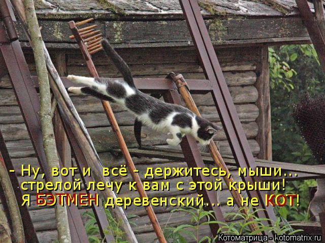 Котоматрица: - Ну, вот и  всё - держитесь, мыши... стрелой лечу к вам с этой крыши! Я БЭТМЕН деревенский... а не КОТ! БЭТМЕН КОТ