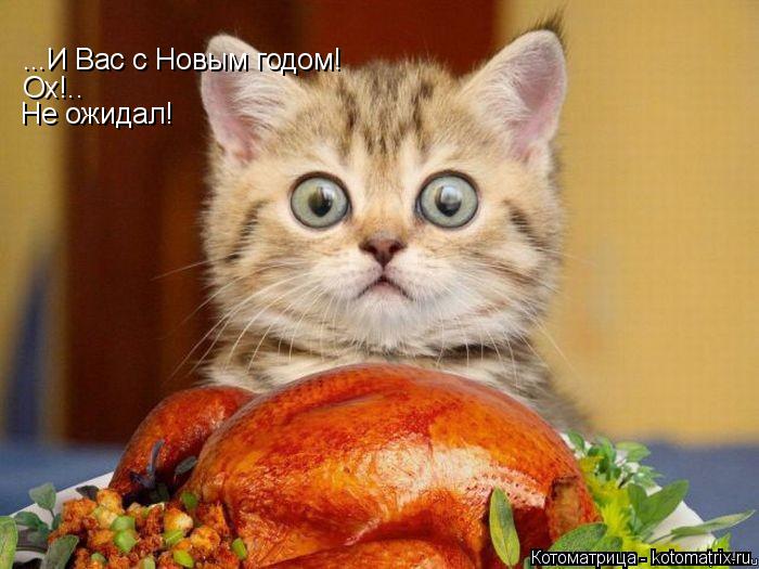 ...И Вас с Новым годом! Ох!.. Не ожидал!... Котоматрица: ...И Вас с Новым годом! Ох!.. Не ожидал!