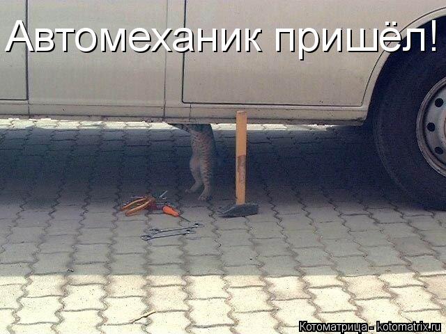 Котоматрица: Автомеханик пришёл!