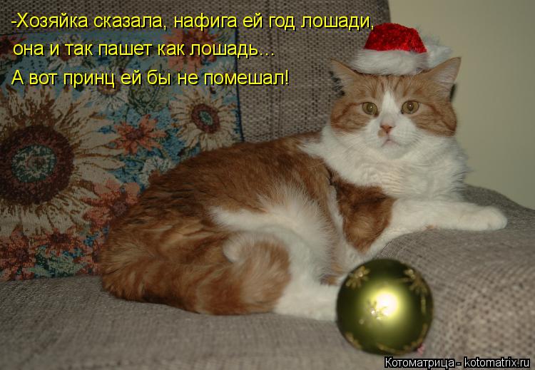 -Хозяйка сказала, нафига ей год лошади, она и так пашет как лошадь… А вот принц ей бы не помешал!... Котоматрица: -Хозяйка сказала, нафига ей год лошади, она и так пашет как лошадь… А вот принц ей бы не помешал!