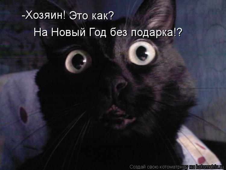 -Хозяин! Это как? На Новый Год без подарка!?... Котоматрица: -Хозяин! Это как? На Новый Год без подарка!?
