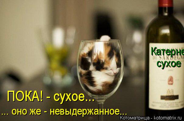 Катерне сухое ПОКА! - сухое... ... оно же - невыдержанное...... Котоматрица: Катерне сухое ПОКА! - сухое... ... оно же - невыдержанное...