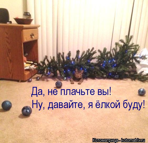 Ну, давайте, я ёлкой буду! Да, не плачьте вы!... Котоматрица: Ну, давайте, я ёлкой буду! Да, не плачьте вы!