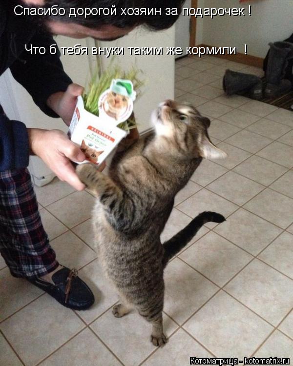 Спасибо дорогой хозяин за подарочек ! Что б тебя внуки таким же кормили !... Котоматрица: Спасибо дорогой хозяин за подарочек ! Что б тебя внуки таким же кормили !