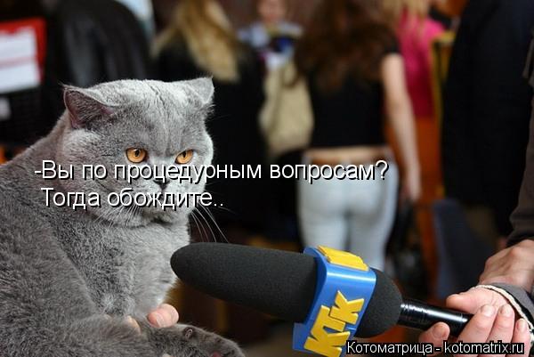 -Вы по процедурным вопросам? Тогда обождите..... Котоматрица: -Вы по процедурным вопросам? Тогда обождите..