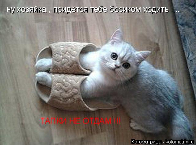 ну хозяйка , придётся тебе босиком ходить ... ТАПКИ НЕ ОТДАМ !!!... Котоматрица: ну хозяйка , придётся тебе босиком ходить ... ТАПКИ НЕ ОТДАМ !!!