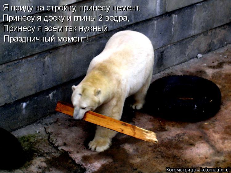 Я приду на стройку, принесу цемент. Принесу я доску и глины 2 ведра, Принесу я всем так нужный Праздн... Котоматрица: Я приду на стройку, принесу цемент. Принесу я доску и глины 2 ведра, Принесу я всем так нужный Праздничный момент!