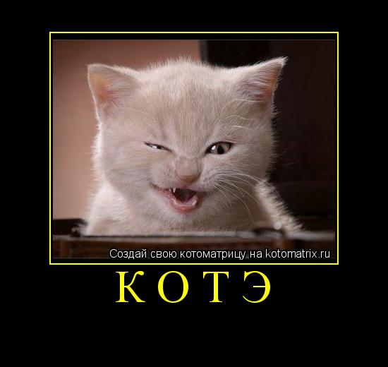 КОТЭ ... Котоматрица: КОТЭ
