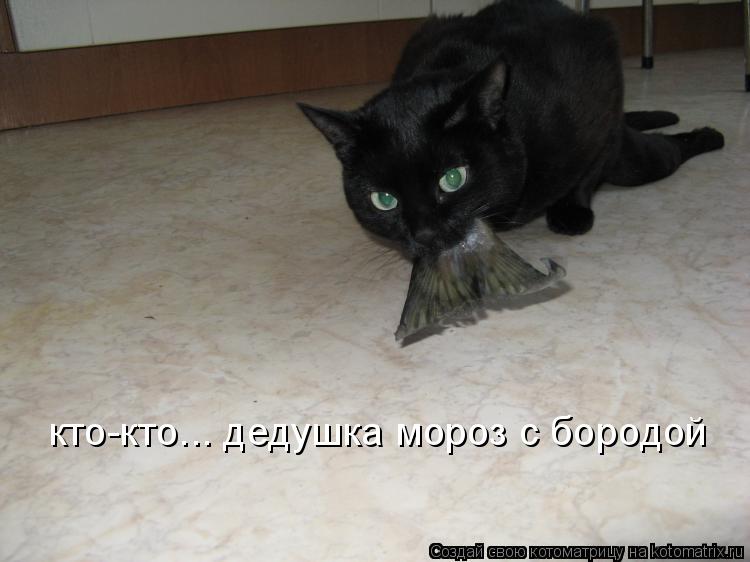 кто-кто... дедушка мороз с бородой... Котоматрица: кто-кто... дедушка мороз с бородой