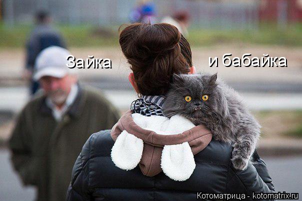 Котоматрица: и бабайка Зайка