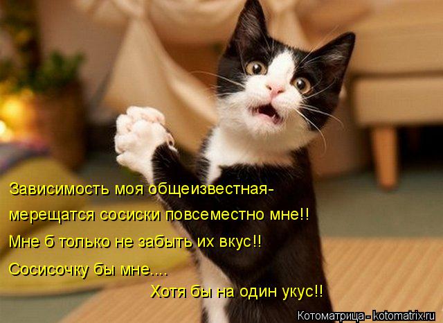 Котоматрица: Мне б только не забыть их вкус!! Зависимость моя общеизвестная- мерещатся сосиски повсеместно мне!! Сосисочку бы мне.... Хотя бы на один укус!!