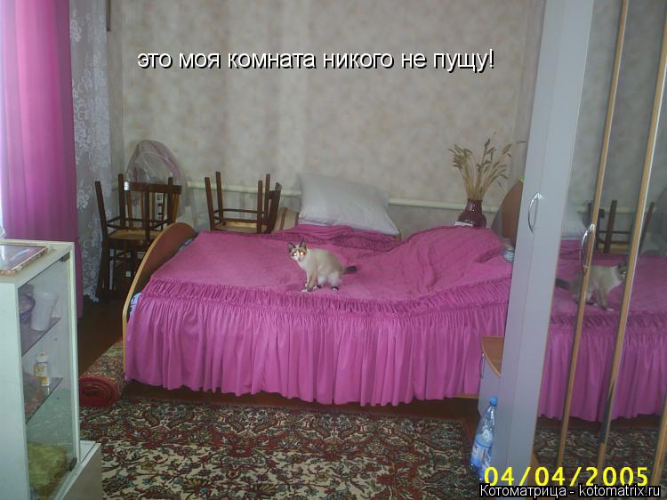 Котоматрица: это моя комната никого не пущу!