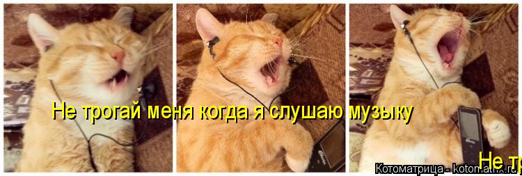 Котоматрица: Не трогай меня когда я слушаю музыку  Не трогай меня когда я слушаю музыку