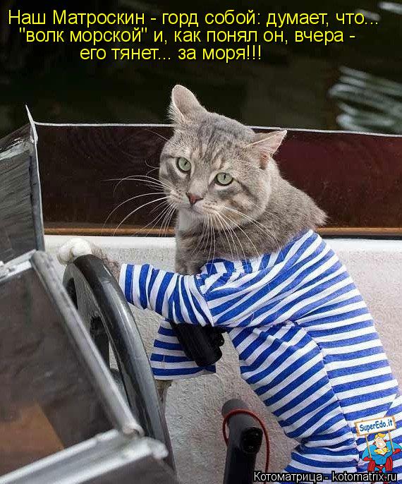 Наш Матроскин - горд собой: думает, что... "волк морской" и, как понял он, вчера - его тянет... за м... Котоматрица: Наш Матроскин - горд собой: думает, что... "волк морской" и, как понял он, вчера - его тянет... за моря!!!