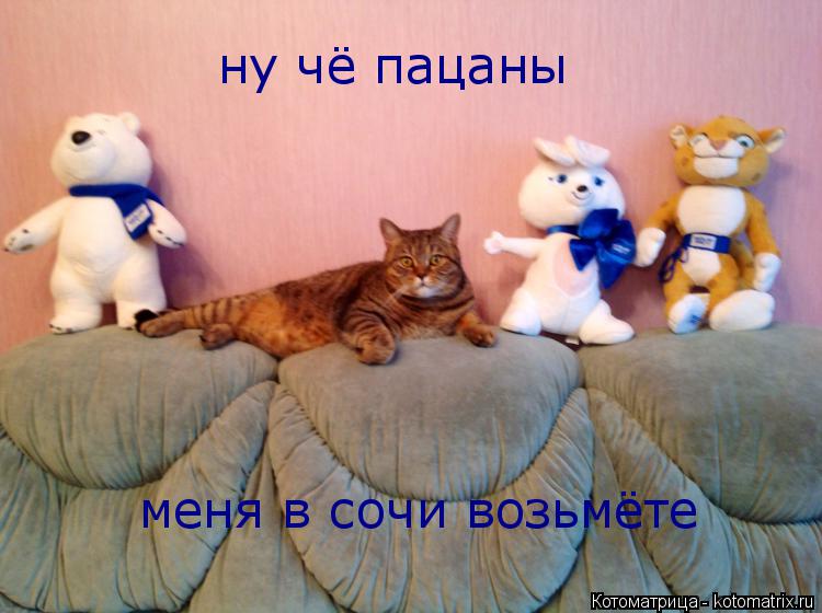 ну чё пацаны меня в сочи возьмёте... Котоматрица: ну чё пацаны меня в сочи возьмёте