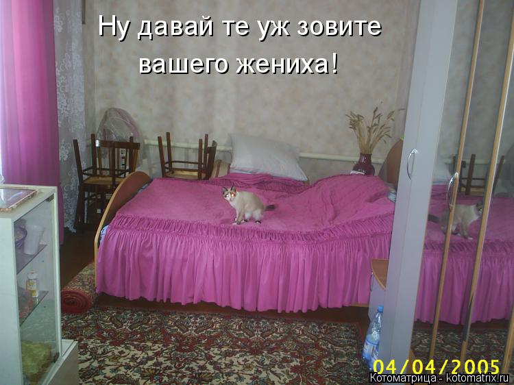 Ну давай те уж зовите вашего жениха!... Котоматрица: Ну давай те уж зовите вашего жениха!