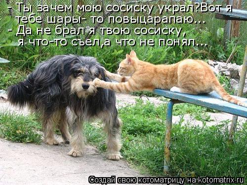 - Ты зачем мою сосиску украл?Вот я - Да не брал я твою сосиску, я что-то съел,а что не понял... тебе... Котоматрица: - Ты зачем мою сосиску украл?Вот я - Да не брал я твою сосиску, я что-то съел,а что не понял... тебе шары- то повыцарапаю...