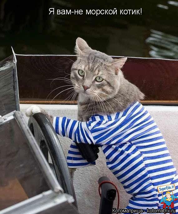 Я вам-не морской котик!... Котоматрица: Я вам-не морской котик!