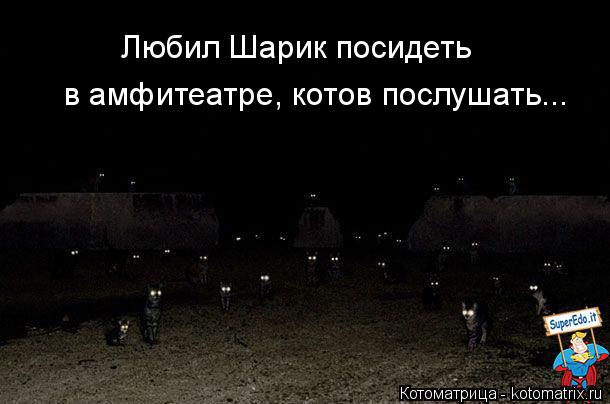 Любил Шарик посидеть в амфитеатре, котов послушать...... Котоматрица: Любил Шарик посидеть в амфитеатре, котов послушать...