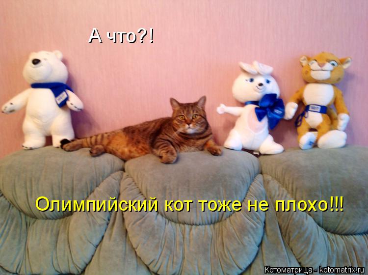 А что?! Олимпийский кот тоже не плохо!!!... Котоматрица: А что?! Олимпийский кот тоже не плохо!!!