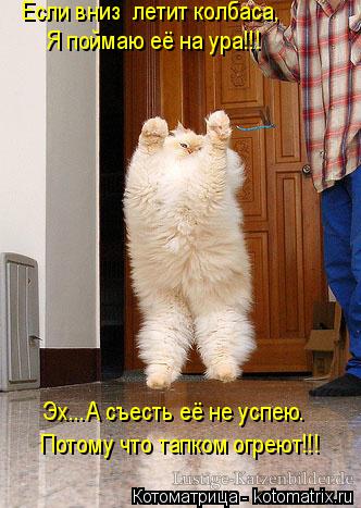 Если вниз летит колбаса, Я поймаю её на ура!!! Эх...А съесть её не успею. Потому что тапком огреют!!... Котоматрица: Если вниз летит колбаса, Я поймаю её на ура!!! Эх...А съесть её не успею. Потому что тапком огреют!!!