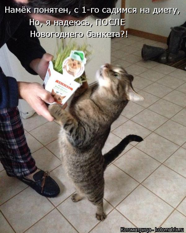 Но, я надеюсь, ПОСЛЕ Новогоднего банкета?! Намёк понятен, с 1-го садимся на диету,... Котоматрица: Но, я надеюсь, ПОСЛЕ Новогоднего банкета?! Намёк понятен, с 1-го садимся на диету,