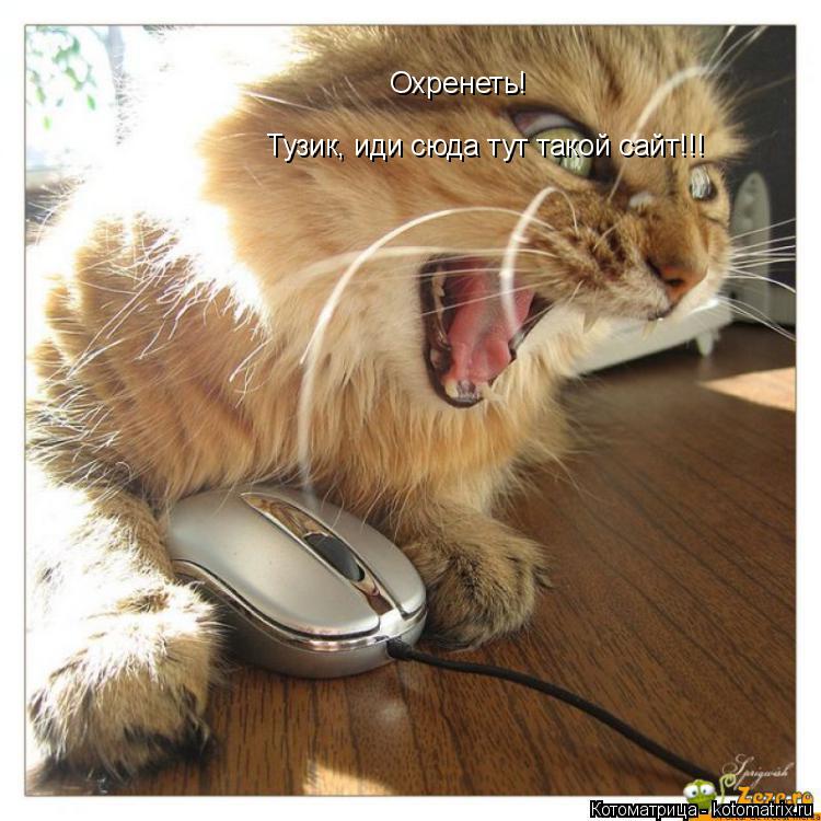 Охренеть! Тузик, иди сюда тут такой сайт!!!... Котоматрица: Охренеть! Тузик, иди сюда тут такой сайт!!!