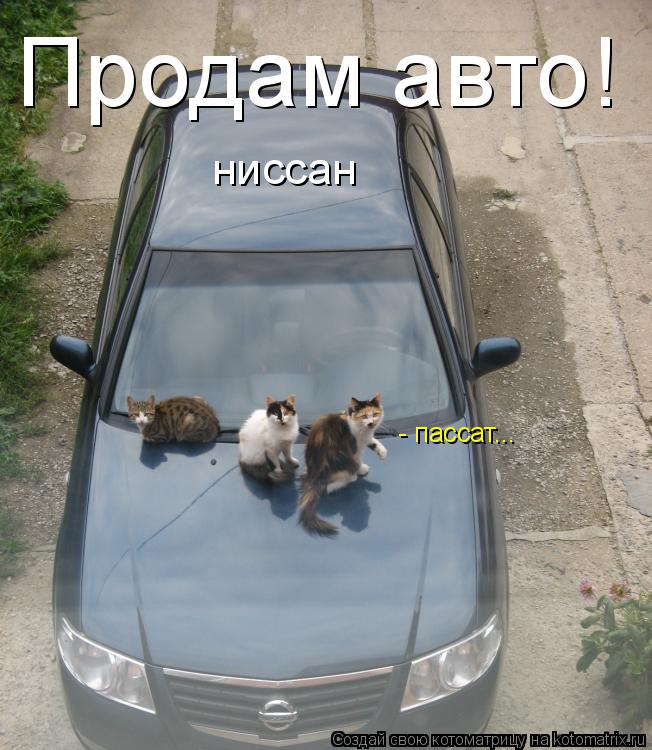 Котоматрица: Продам авто! ниссан  - пассат...