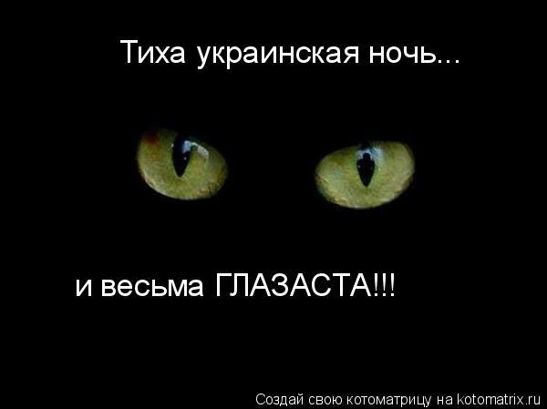 Котоматрица: Тиха украинская ночь... и весьма ГЛАЗАСТА!!!