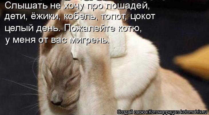 Слышать не хочу про лошадей, дети, ёжики, кобель, топот, цокот целый день. Пожалейте котю, у меня от ... Котоматрица: Слышать не хочу про лошадей, дети, ёжики, кобель, топот, цокот целый день. Пожалейте котю, у меня от вас мигрень.