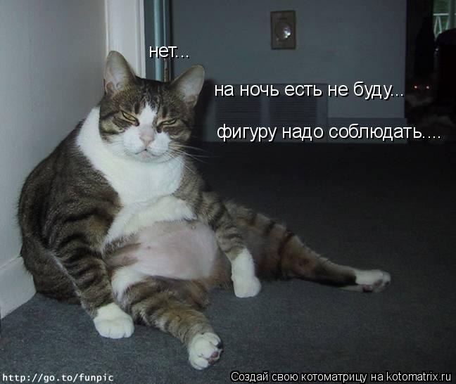 нет... на ночь есть не буду... фигуру надо соблюдать....... Котоматрица: нет... на ночь есть не буду... фигуру надо соблюдать....