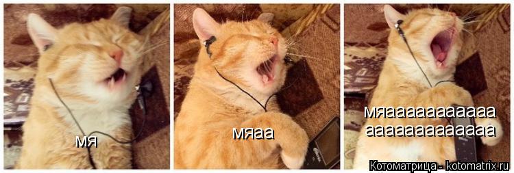 Котоматрица: мя мяаа мяааааааааааа ааааааааааааа