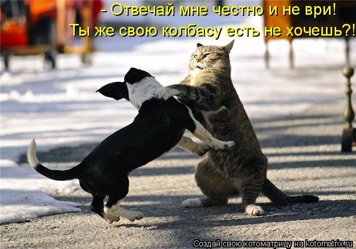 - Отвечай мне честно и не ври! Ты же свою колбасу есть не хочешь?!... Котоматрица: - Отвечай мне честно и не ври! Ты же свою колбасу есть не хочешь?!