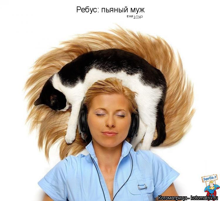 Котоматрица: Ребус: пьяный муж сКОТина